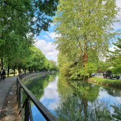 Passeggiata lungo il naviglio, un'oasi verde per scoprire cosa vedere a Sesto San Giovanni. Ideale per bici e relax.