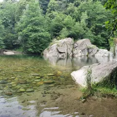 Acque cristalline e rocce levigate creano piscine naturali vicino a Torino, un angolo di paradiso immerso nel verde.
