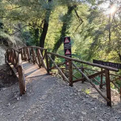 Ponte in legno rustico conduce verso le cascate di San Fele, immerso nel verde e illuminato dal sole.