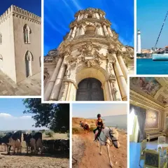 Cosa vedere a Caltanissetta: castello, chiesa barocca, yacht, formaggio, mucche, equitazione e interni dorati.