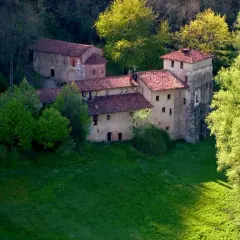Antico monastero di Torba immerso nel verde, con tetti rossi e torri in pietra, circondato da alberi rigogliosi.