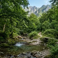Sentiero nel bosco con ruscello e montagne sullo sfondo, perfetti posti al fresco in Toscana per una passeggiata rigenerante.