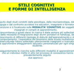 Studi su stili cognitivi e forme di intelligenza, con focus sulle modalità cognitive e approcci all'apprendimento, in linea con la teoria triarchica dell'intelligenza.