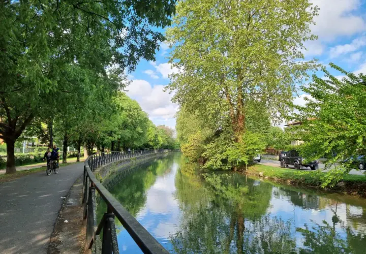 Passeggiata lungo il naviglio, un'oasi verde per scoprire cosa vedere a Sesto San Giovanni. Ideale per bici e relax.