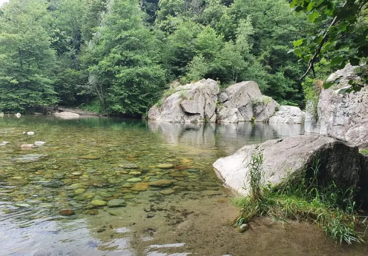 Acque cristalline e rocce levigate creano piscine naturali vicino a Torino, un angolo di paradiso immerso nel verde.