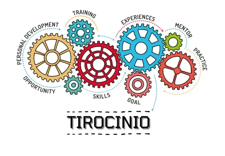 Ingranaggi colorati illustrano il percorso di un tirocinio indiretto: sviluppo personale, formazione, esperienze, mentore, pratica, obiettivi e competenze.