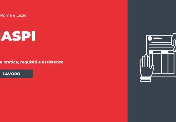 Guida pratica e assistenza per i docenti sui naspi. Cgil Roma e Lazio.
