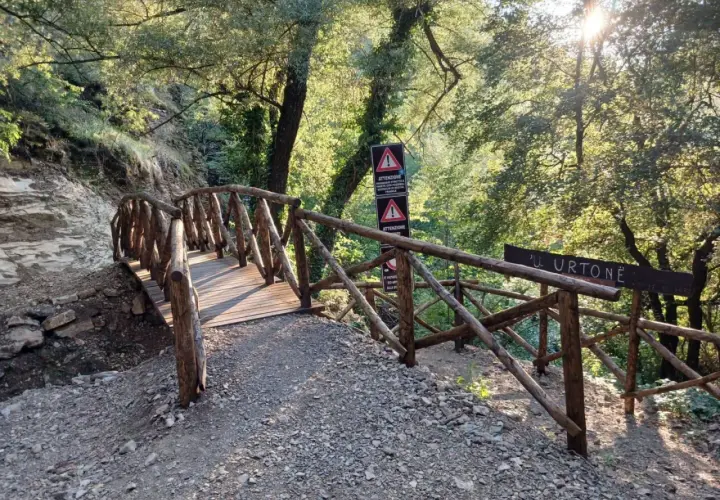 Ponte in legno rustico conduce verso le cascate di San Fele, immerso nel verde e illuminato dal sole.