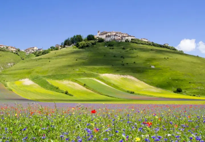 Un borgo arroccato su verdi montagne in Umbria, con un campo fiorito che ricorda un tappeto colorato.