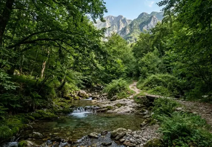 Sentiero nel bosco con ruscello e montagne sullo sfondo, perfetti posti al fresco in Toscana per una passeggiata rigenerante.