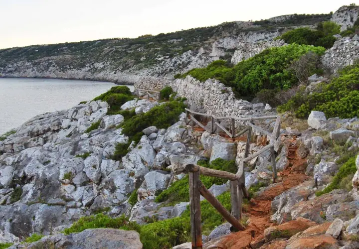 Sentiero roccioso con muretto a secco e vegetazione mediterranea, vicino alle grotte cipolliane.