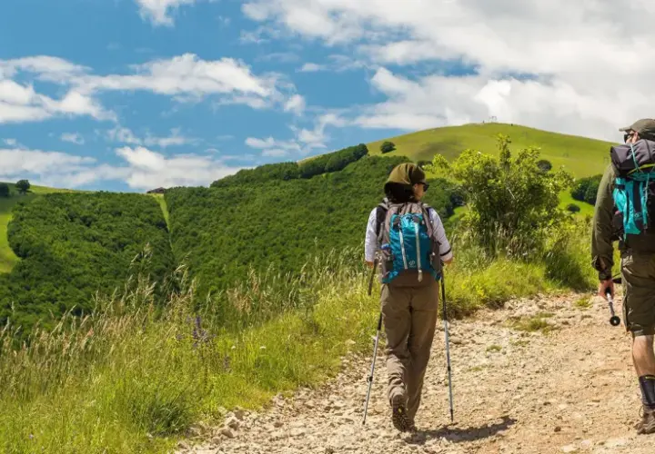 Due escursionisti affrontano un sentiero collinare, con lo sguardo rivolto verso l'orizzonte. La distanza tra Assisi e Loreto sembra un viaggio spirituale e fisico.