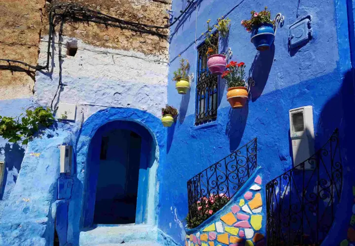 Un vicolo nella città azzurra del Marocco, con case blu, vasi di fiori colorati e una scala decorata.