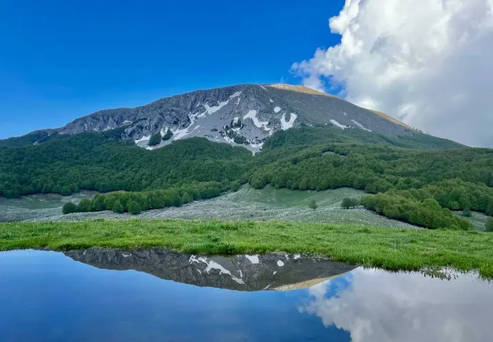 Riflesso di un monte innevato e boschi verdi in uno specchio d'acqua nel Parco Nazionale del Pollino.