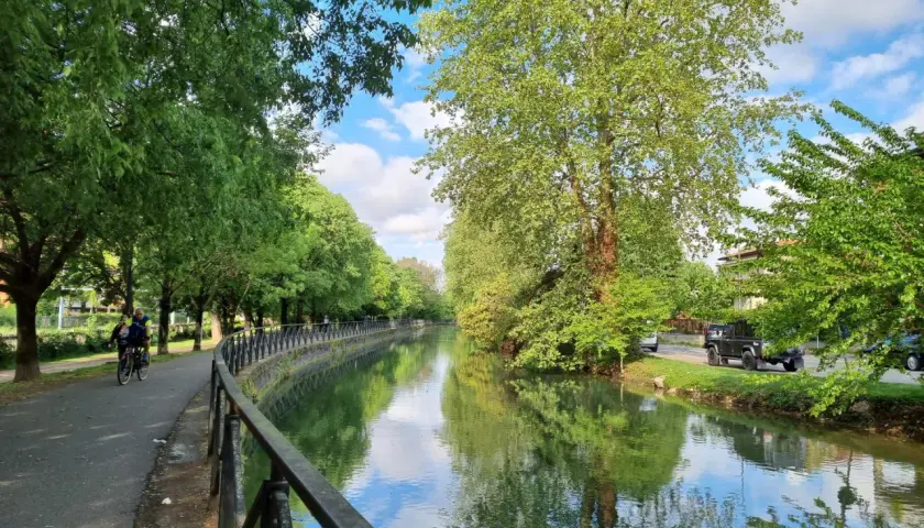 Passeggiata lungo il naviglio, un'oasi verde per scoprire cosa vedere a Sesto San Giovanni. Ideale per bici e relax.