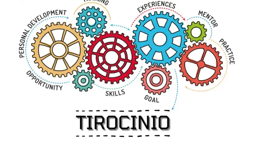 Ingranaggi colorati illustrano il percorso di un tirocinio indiretto: sviluppo personale, formazione, esperienze, mentore, pratica, obiettivi e competenze.