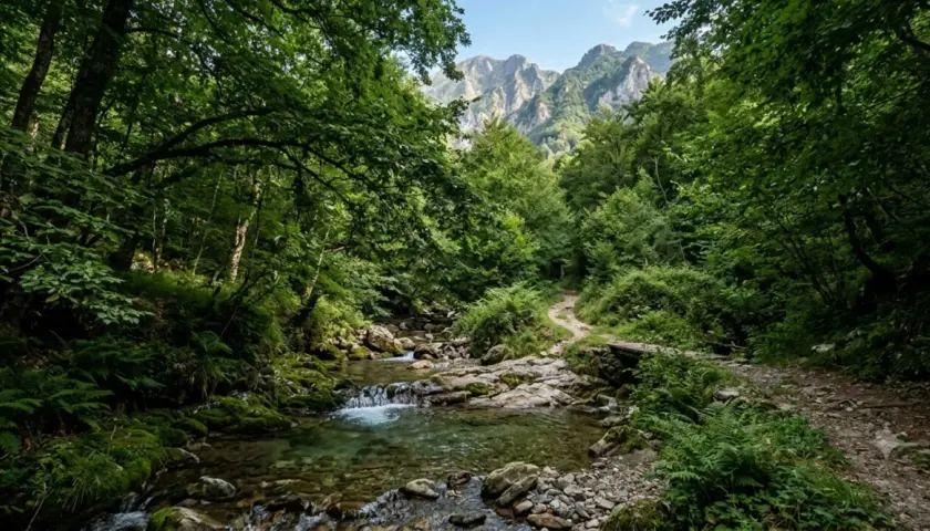 Sentiero nel bosco con ruscello e montagne sullo sfondo, perfetti posti al fresco in Toscana per una passeggiata rigenerante.