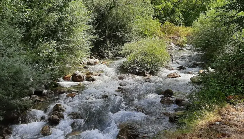 Sentiero per le cascate del Pollino: un ruscello scorre tra rocce e vegetazione lussureggiante, invitando all'esplorazione.