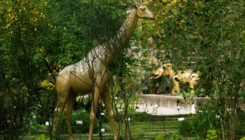 Una giraffa dorata emerge tra la vegetazione lussureggiante dell'orto botanico di Brera, con un elefante dorato sullo sfondo.