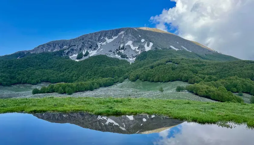 Riflesso di un monte innevato e boschi verdi in uno specchio d'acqua nel Parco Nazionale del Pollino.