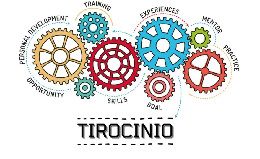 Tirocinio indiretto per docenti: attività, ore e tutor