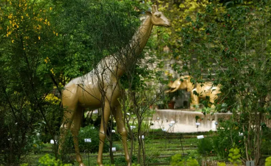 Orto botanico di Brera, la guida per visitarlo a Milano