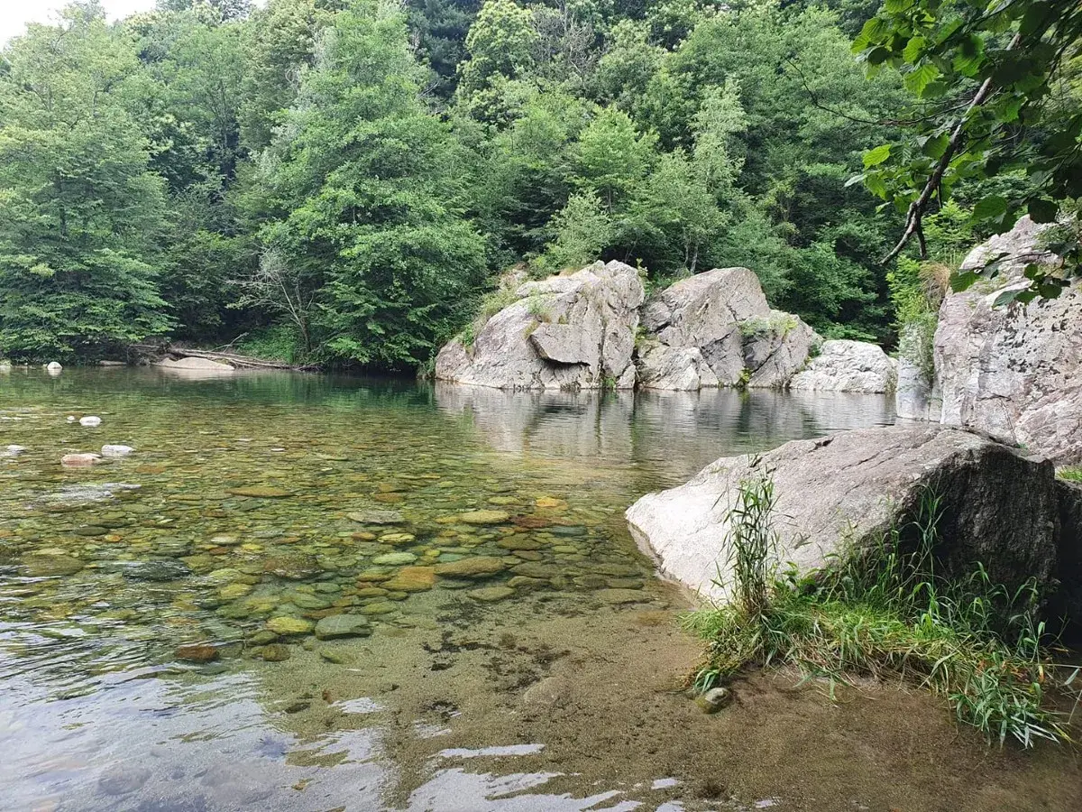 Acque cristalline e rocce levigate creano piscine naturali vicino a Torino, un angolo di paradiso immerso nel verde.
