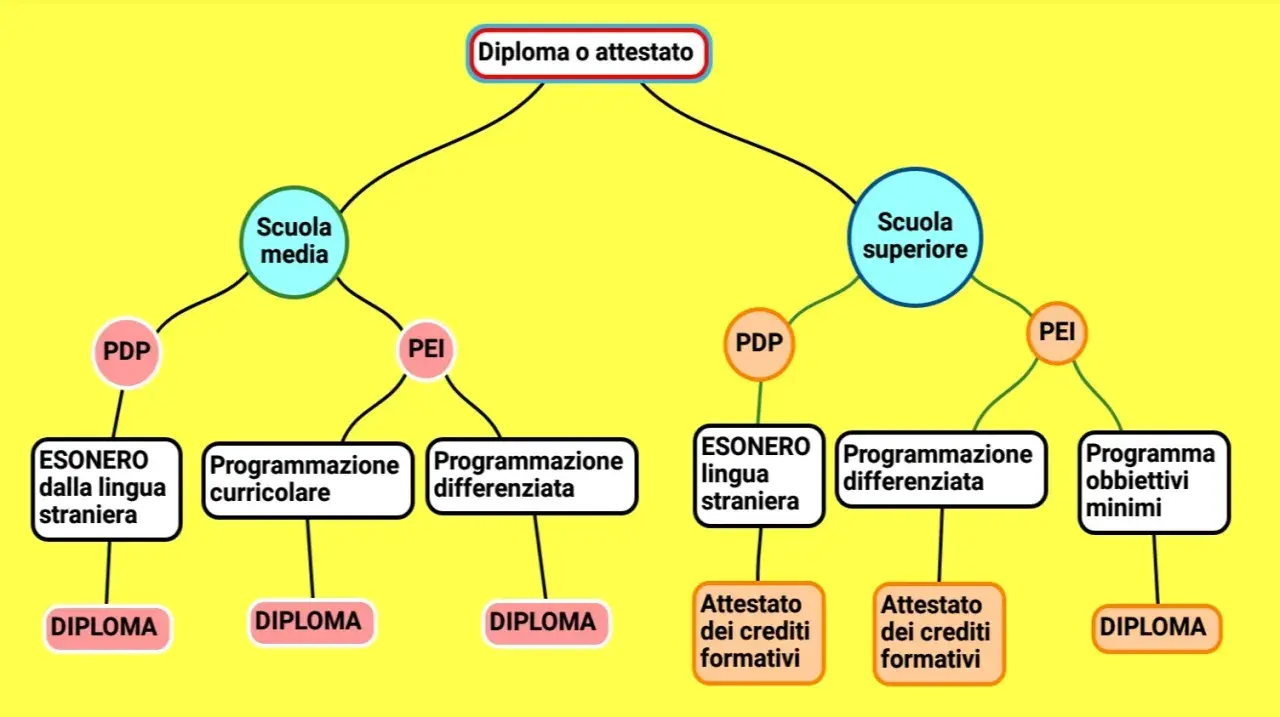 Schema per il diploma o attestato: scuola media e superiore, con percorsi PDP/PEI per la secondaria secondo grado, esoneri e programmazioni differenziate.