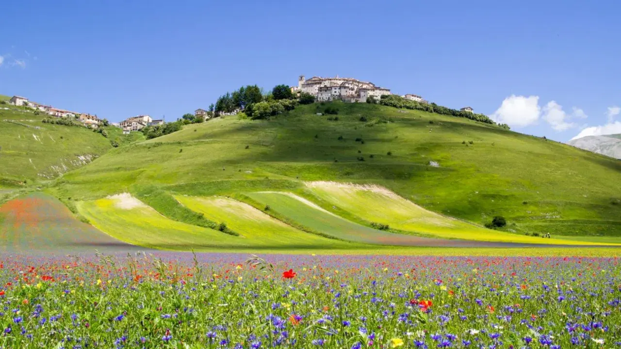 Un borgo arroccato su verdi montagne in Umbria, con un campo fiorito che ricorda un tappeto colorato.