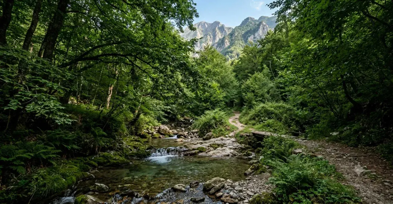 Sentiero nel bosco con ruscello e montagne sullo sfondo, perfetti posti al fresco in Toscana per una passeggiata rigenerante.