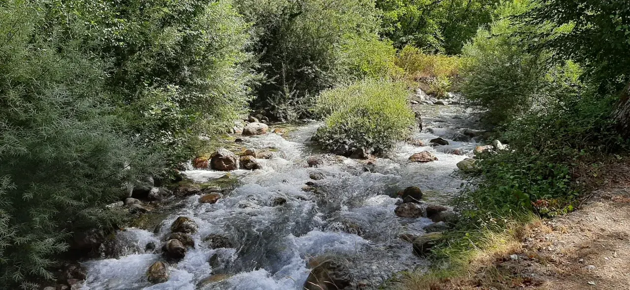 Sentiero per le cascate del Pollino: un ruscello scorre tra rocce e vegetazione lussureggiante, invitando all'esplorazione.