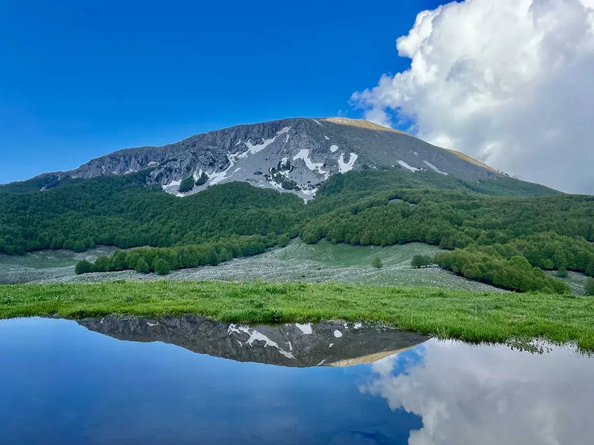 Riflesso di un monte innevato e boschi verdi in uno specchio d'acqua nel Parco Nazionale del Pollino.