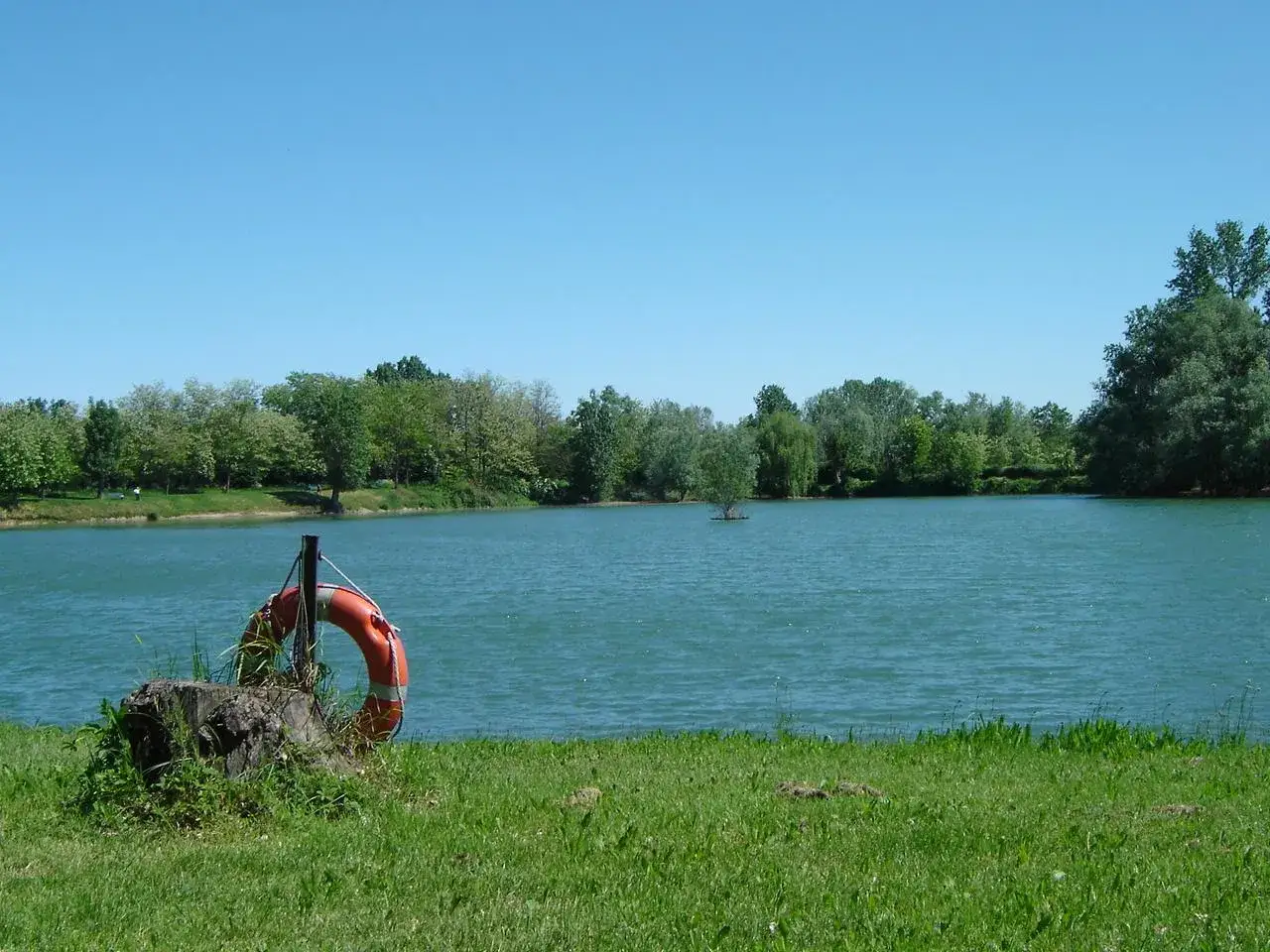 Salvataggio in vista al parco delle cave: un salvagente arancione su un ceppo, pronto per un tuffo nel lago circondato da alberi.