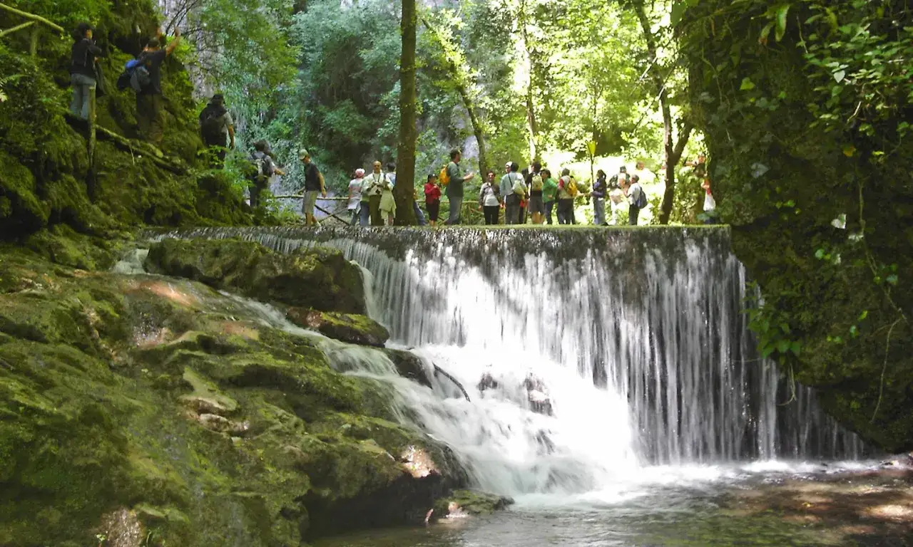 Gruppo di escursionisti ammira una cascata nella Valle delle Ferriere ad Amalfi, immersi nel verde rigoglioso.