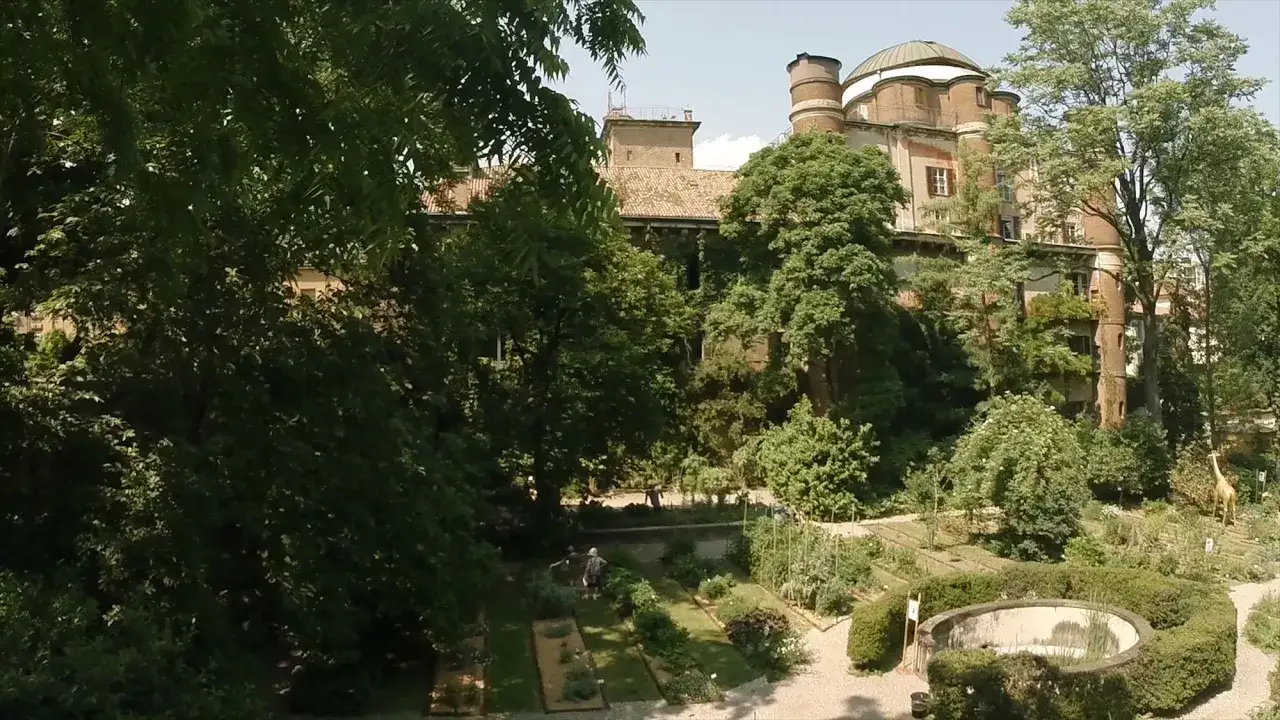 Passeggiata nel verde dell'orto botanico di Brera, tra aiuole curate e l'antica architettura che fa da sfondo.