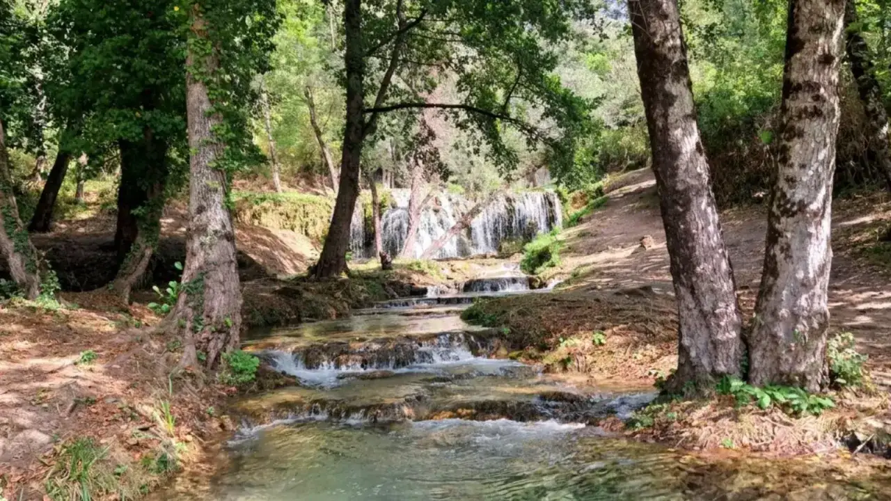 Cascata nel Parco Nazionale del Pollino, con alberi secolari e un ruscello che scende a cascata tra le rocce.