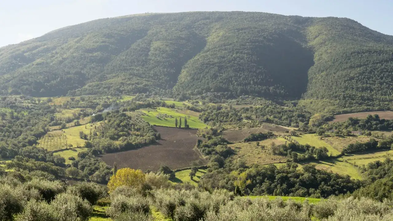 Dolci montagne in Umbria, con campi coltivati, uliveti e boschi che si estendono a perdita d'occhio sotto un cielo limpido.
